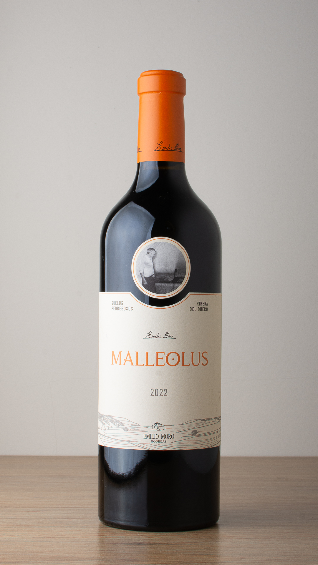Malleolus